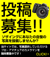 投稿募集!!