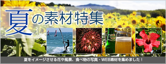 夏の素材特集