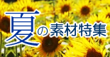夏の素材特集