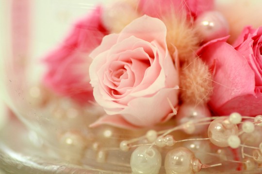 バラの飾り 商用利用ｏｋ 無料の写真 フリー素材を集めました 総合素材サイト ソザイング