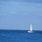 海上のヨット