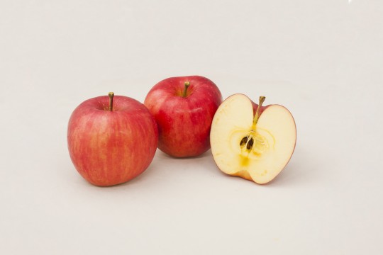 りんごの断面 商用利用ｏｋ 無料の写真 フリー素材を集めました 総合素材サイト ソザイング