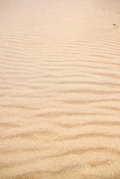 砂浜にのこされた風のあしあと 商用利用ｏｋ 無料の写真 フリー素材を集めました 総合素材サイト ソザイング
